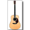 Martin Guitar Gift Card